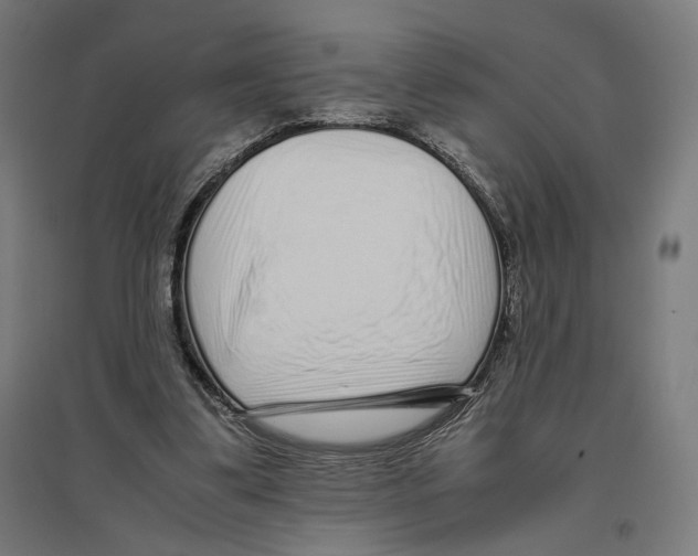 X0000096730299200803041228