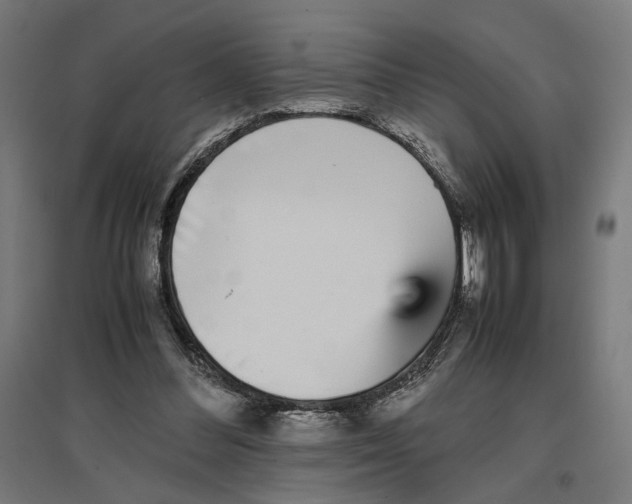 X0000096730300200803041228
