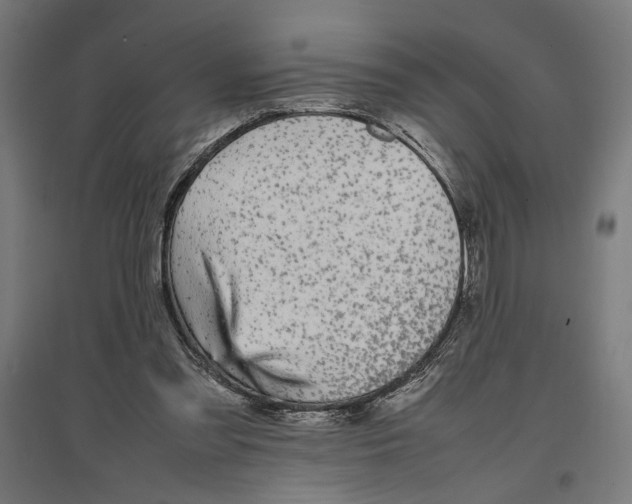 X0000096730301200803041228