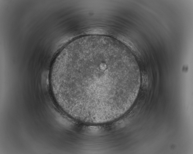 X0000096730302200803041228