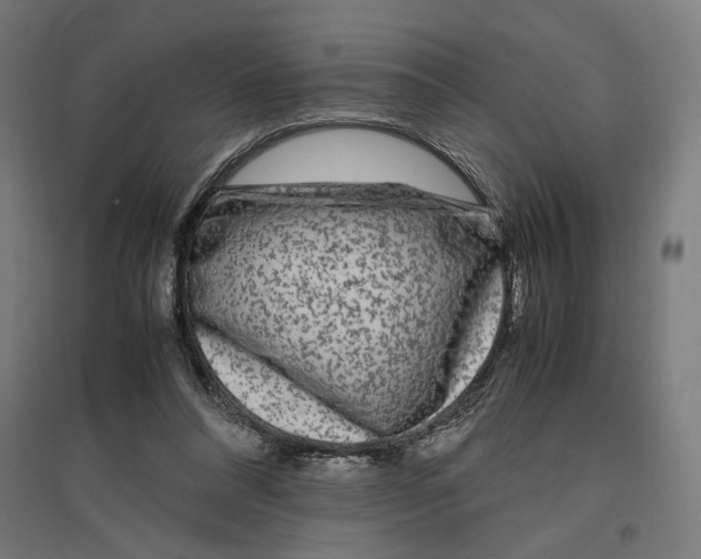X0000096730304200803041228