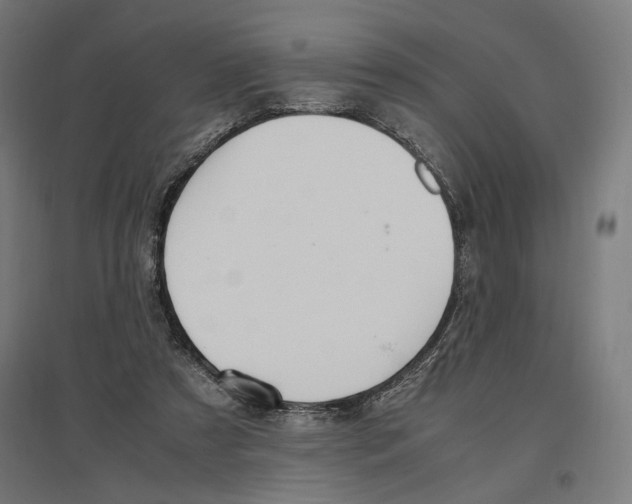 X0000096730305200803041228