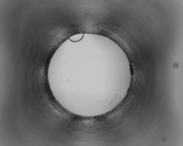 X0000096730306200803041228