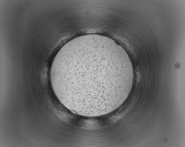 X0000096730308200803041228