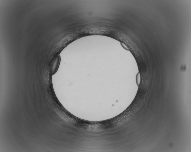 X0000096730309200803041228