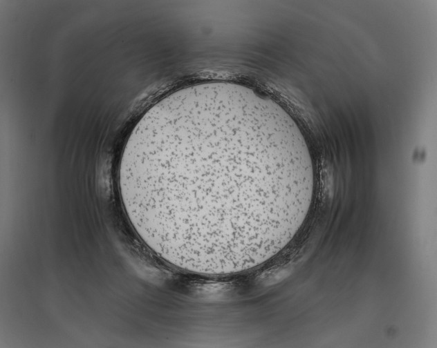 X0000096730312200803041228