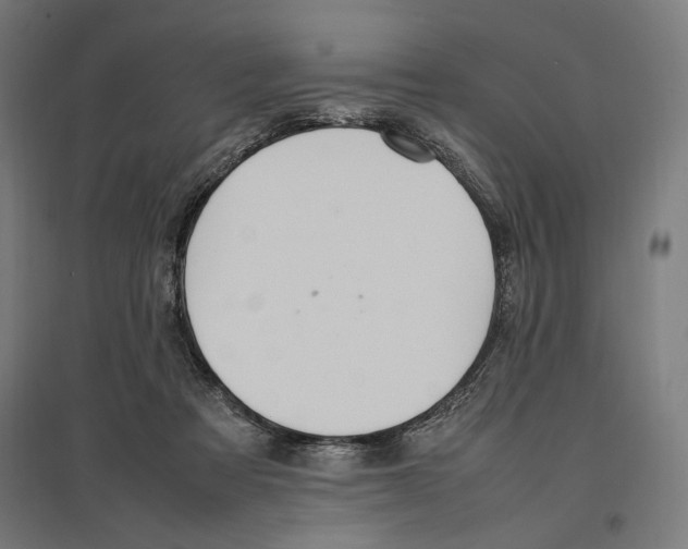 X0000096730313200803041228