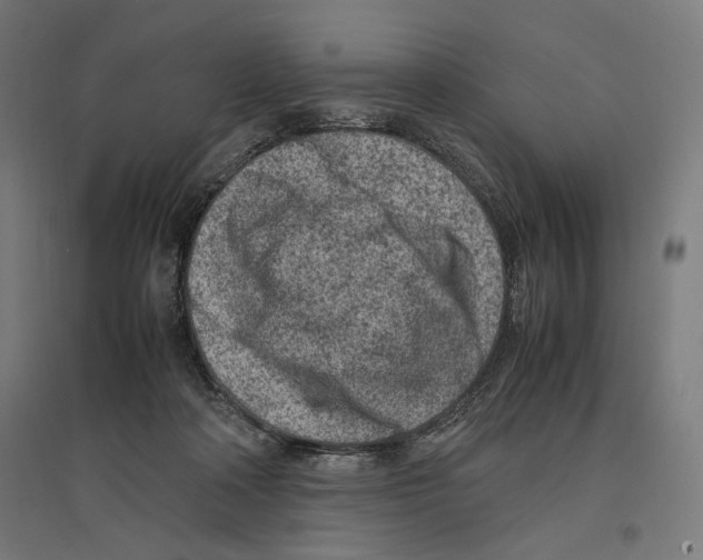 X0000096730314200803041228