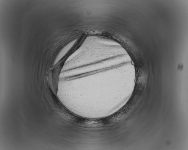 X0000096730315200803041228