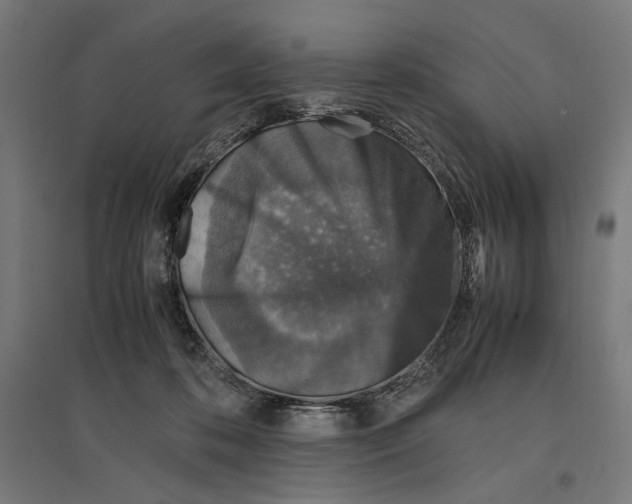 X0000096730316200803041228