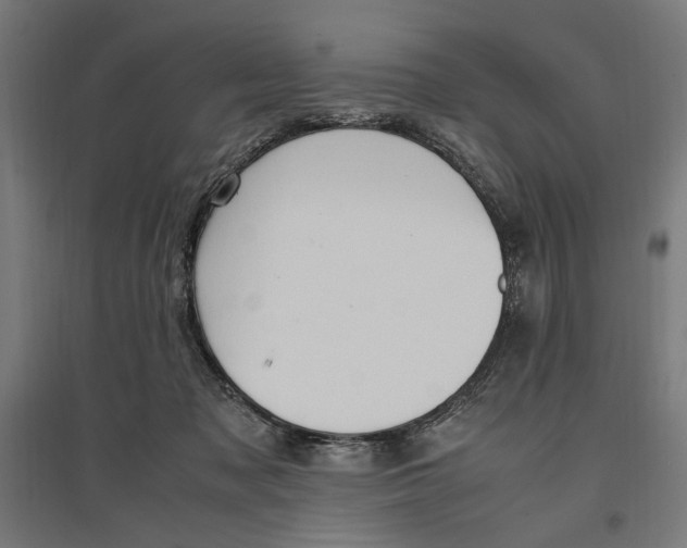 X0000096730317200803041228
