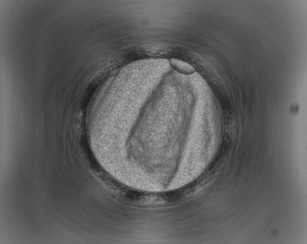 X0000096730319200803041228