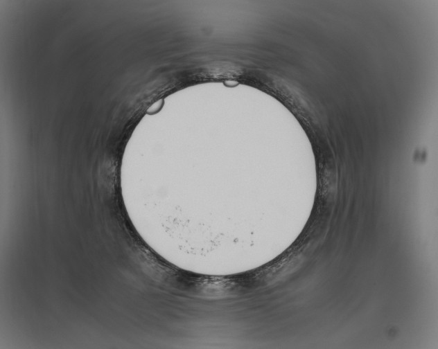 X0000096730321200803041228