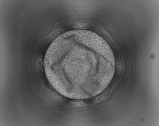 X0000096730322200803041228