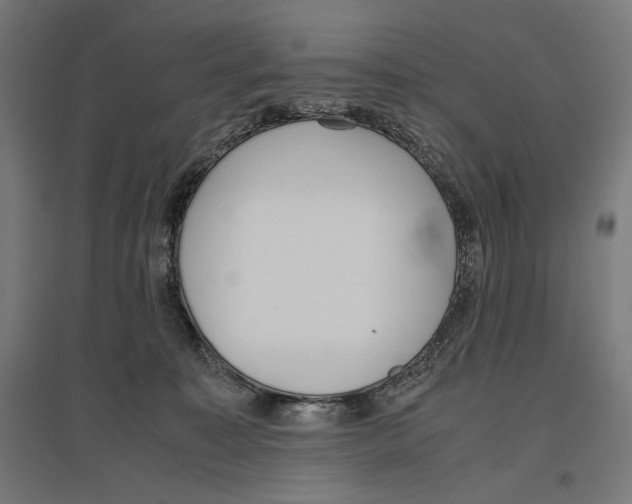 X0000096730323200803041228