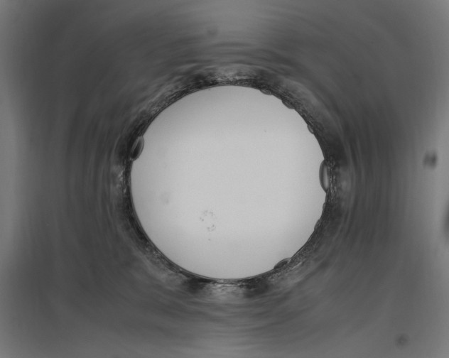 X0000096730327200803041228