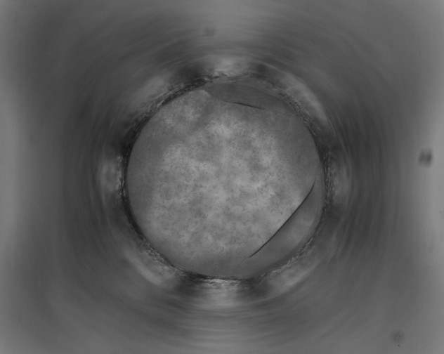 X0000096730328200803041228
