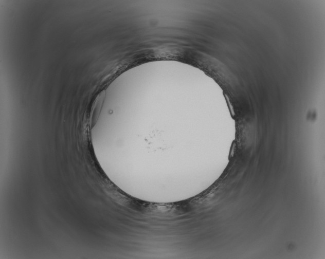 X0000096730329200803041228