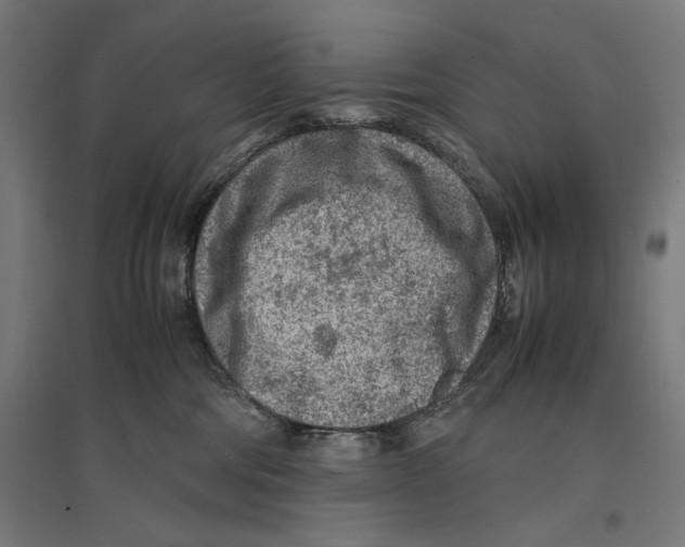 X0000096730330200803041228