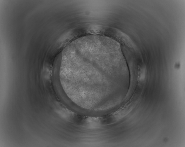 X0000096730332200803041228