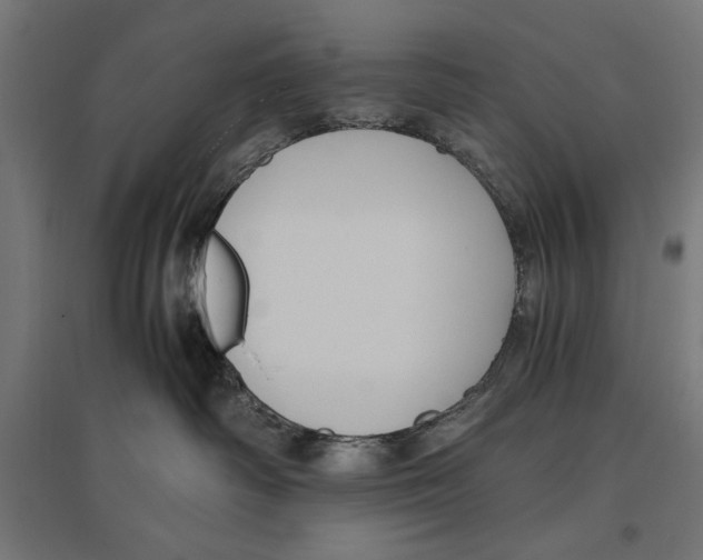 X0000096730334200803041228