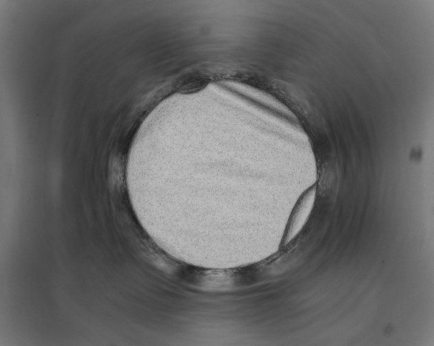 X0000096730335200803041228