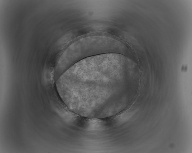 X0000096730336200803041228