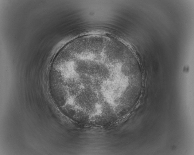 X0000096730337200803041227