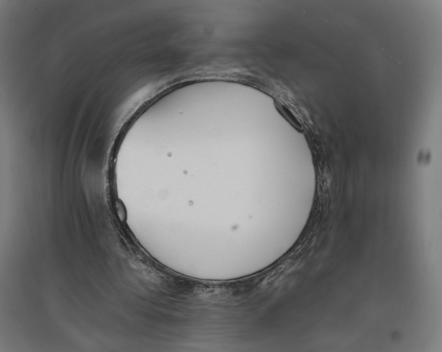 X0000096730340200803041227