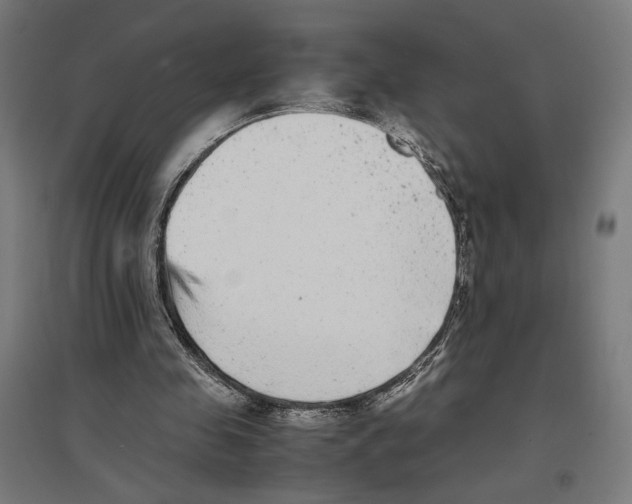 X0000096730341200803041227
