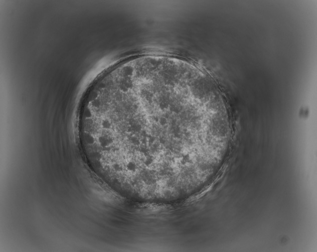 X0000096730343200803041227