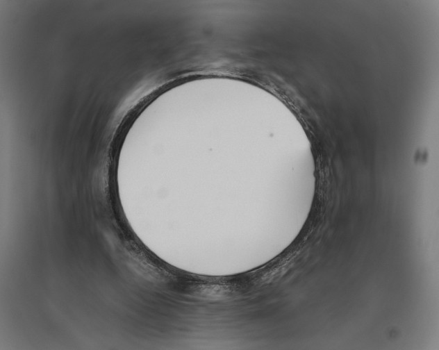 X0000096730344200803041227