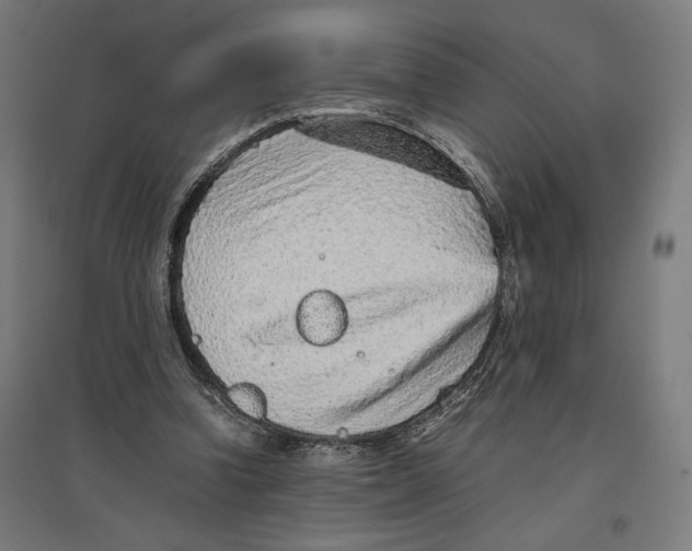X0000096730346200803041227
