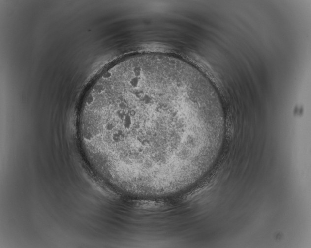 X0000096730347200803041227