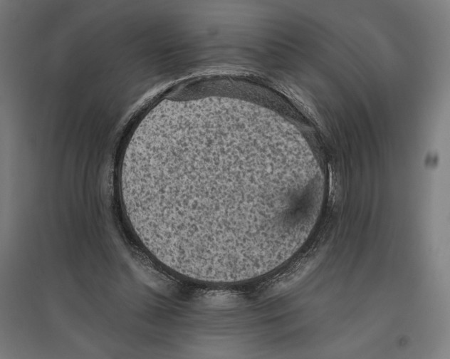 X0000096730348200803041227