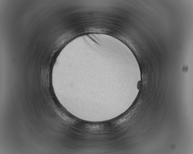 X0000096730349200803041227