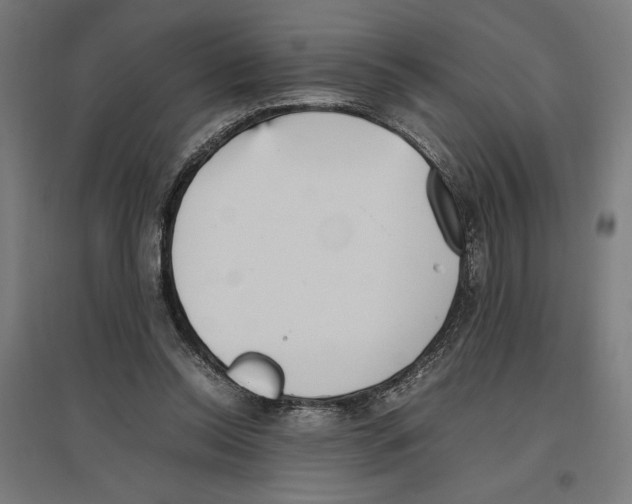 X0000096730350200803041227