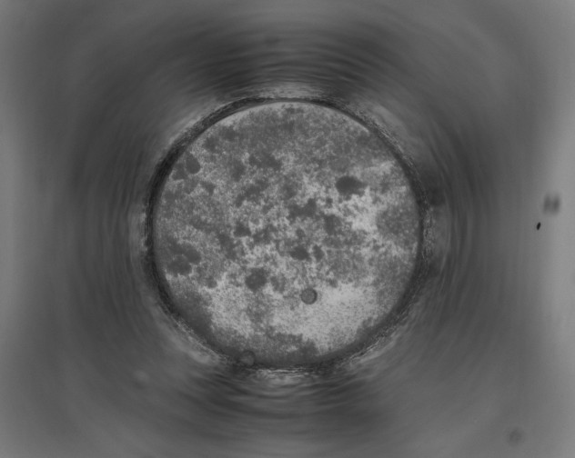 X0000096730351200803041227