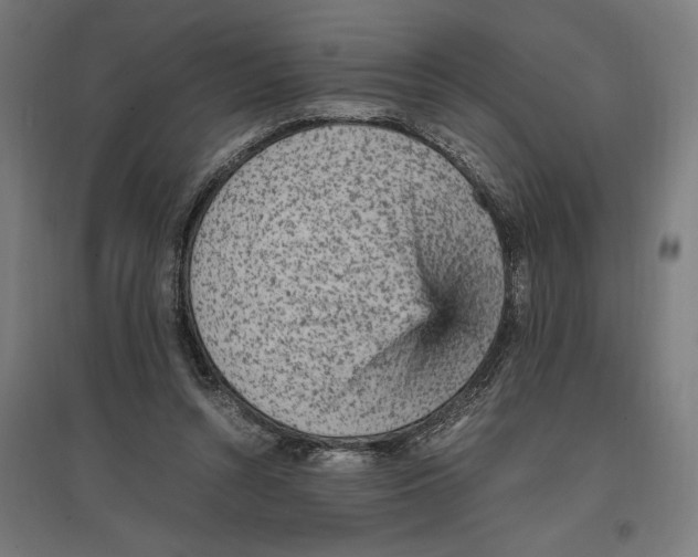 X0000096730352200803041227