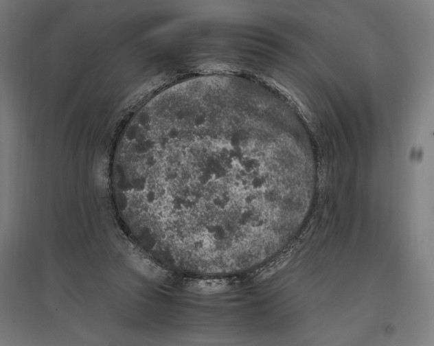 X0000096730353200803041227