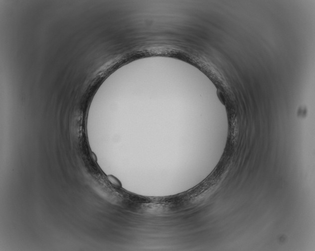 X0000096730356200803041227