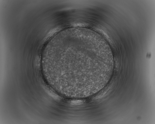 X0000096730357200803041227