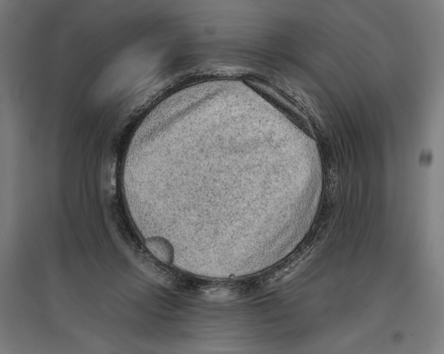 X0000096730358200803041228