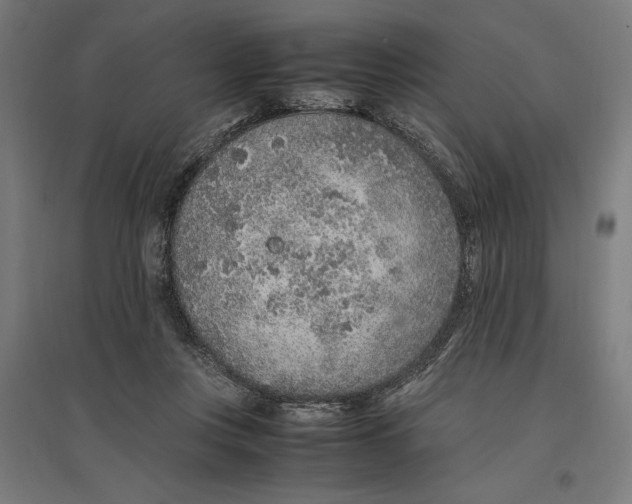 X0000096730359200803041228
