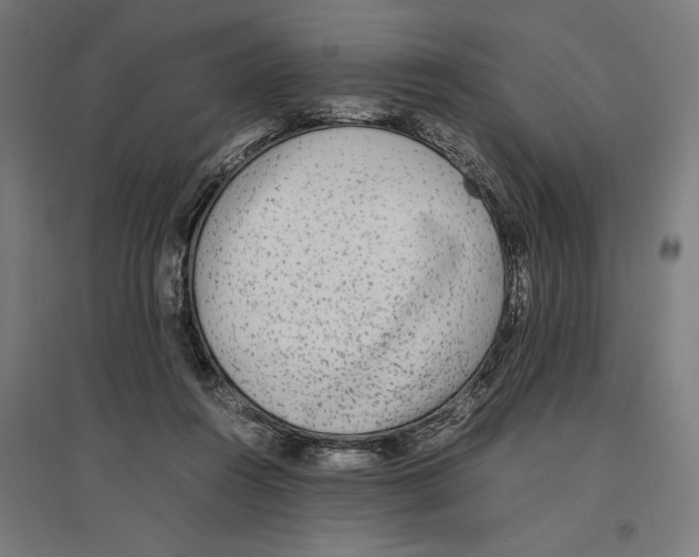 X0000096730360200803041228
