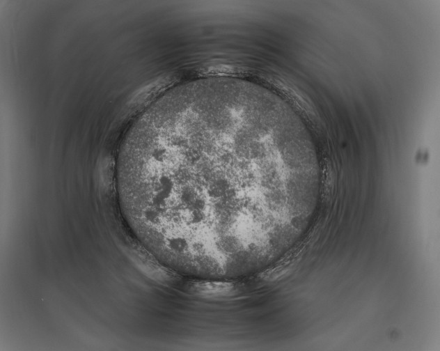 X0000096730361200803041228