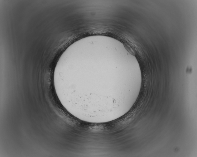 X0000096730362200803041228