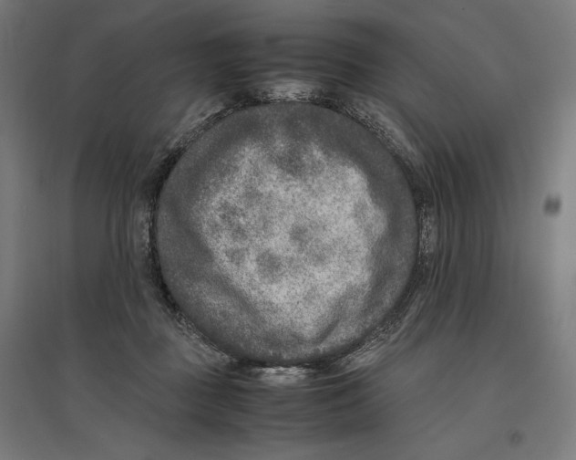 X0000096730363200803041228