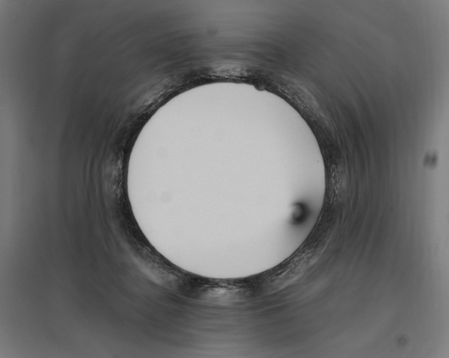 X0000096730364200803041228