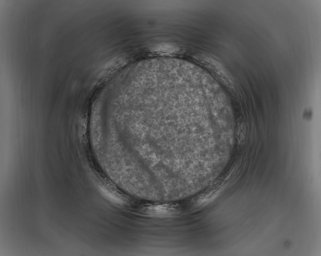 X0000096730365200803041228